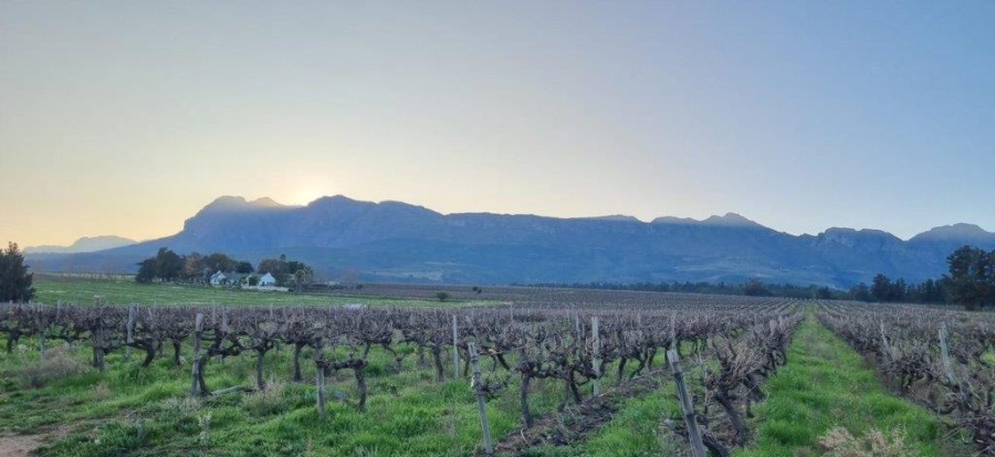 0 Bedroom Property for Sale in Paarl Rural Western Cape